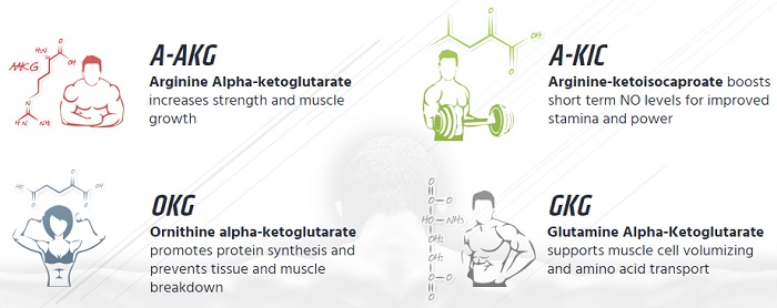 Pro Muscle Fit ingredients