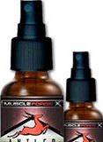 Muscle Forge X