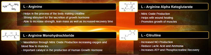 Max Gain Xtreme ingredients