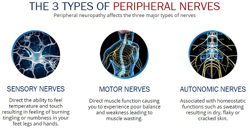 Nerventrax benefits