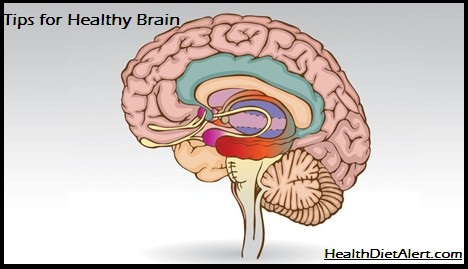 healthy brain