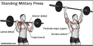 standing military press