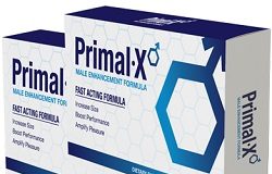 Primal X
